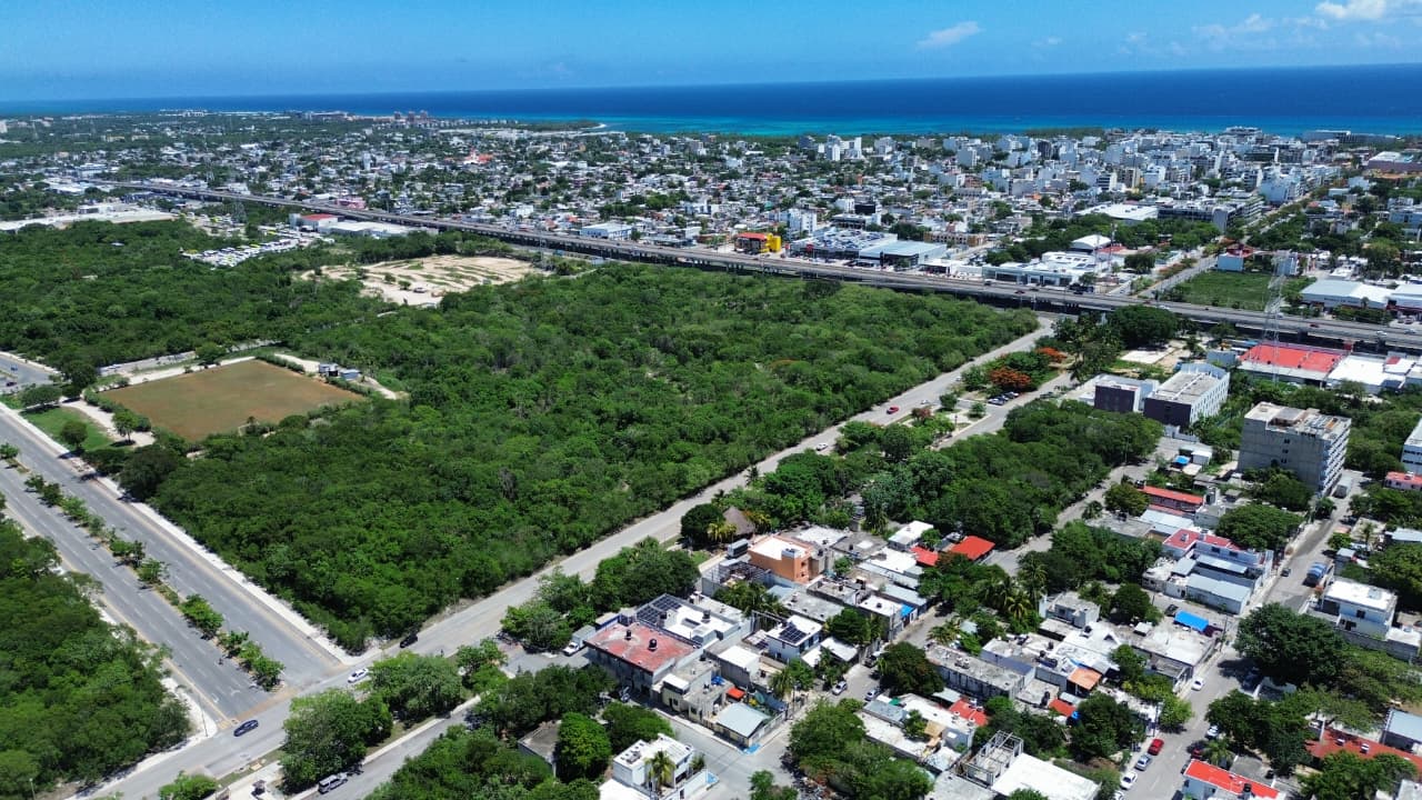 Foto de Playa del Carmen